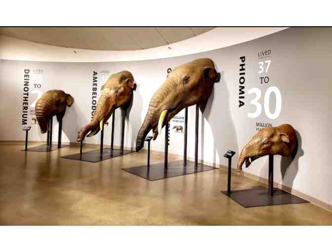 Natural History Museum of L.A. County - La Brea Tar Pits - Four General Admission Tickets