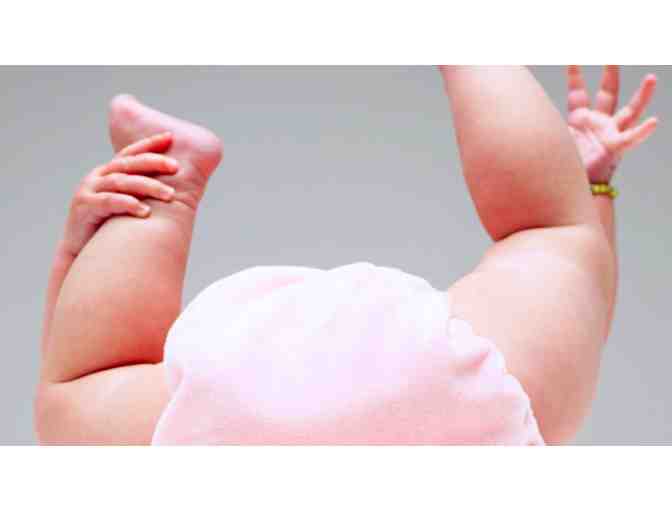 Dy-Dee Diaper Service: Cloth Diaper Service for 4 weeks