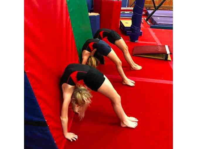 Dan the Man's Superkids - One Month of Gymnastics Classes