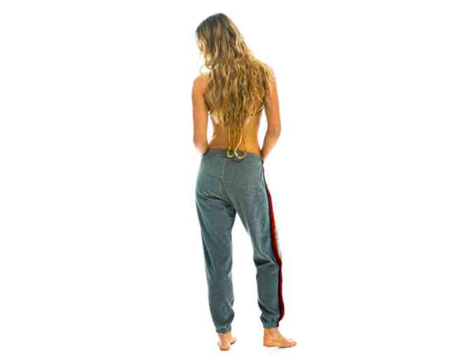 Aviator Nation - Women's Classic Velour Sweatpants - Heather Gray - Small