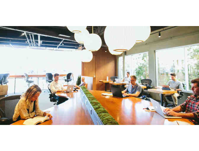 theOFFICE - 1 Month of Access