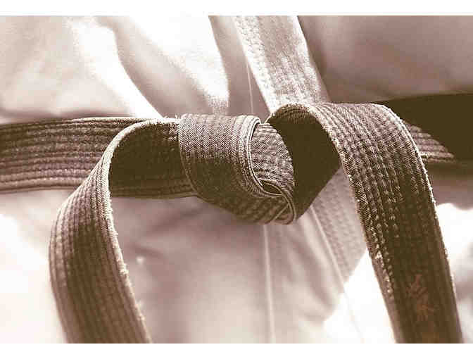 Beverly Hills Karate - One Free Month of Classes