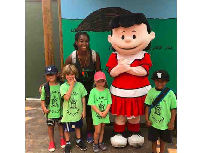 Camp Awesome - One Week of Summer Camp