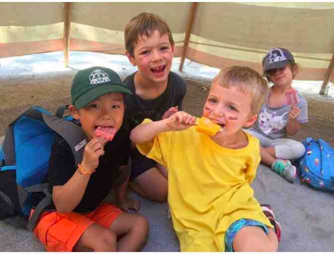 Tumbleweed Day Camp - $500