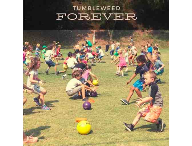 Tumbleweed Day Camp - $500