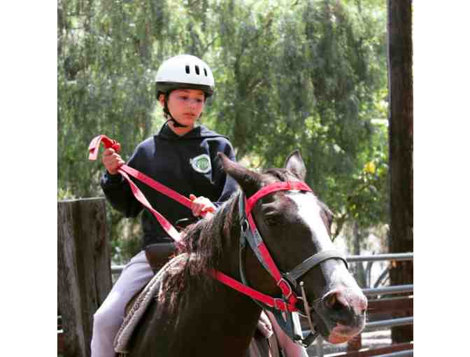 Tumbleweed Day Camp - $500