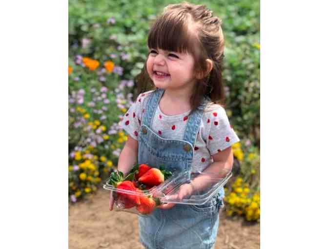 Underwood Family Farms Family Season Pass