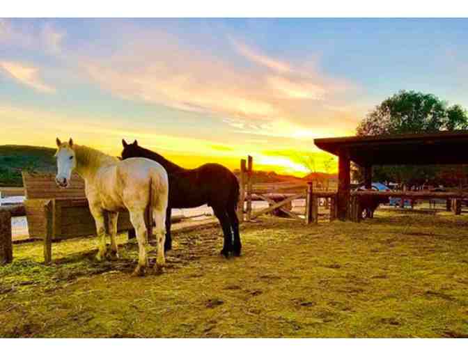 Underwood Family Farms Family Season Pass