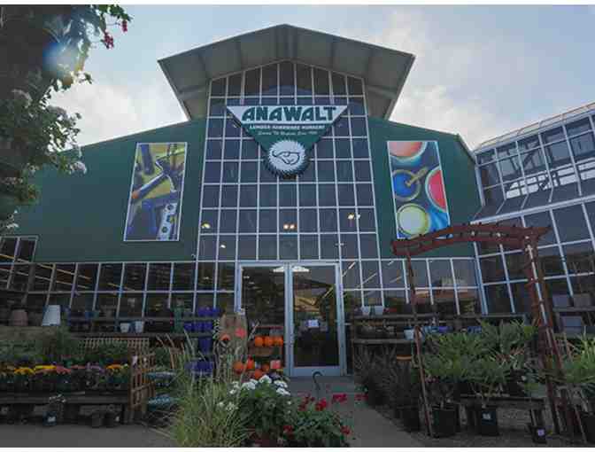 Anawalt Lumber - Potted Plant - $75 Value