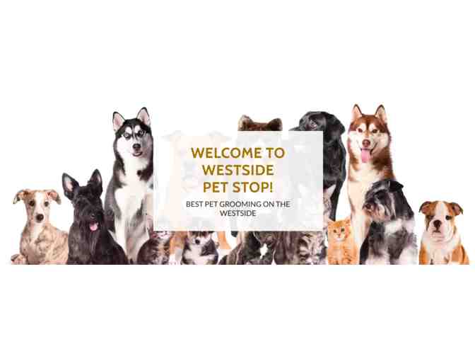 Westside Pet Stop - $25 Gift Certificate