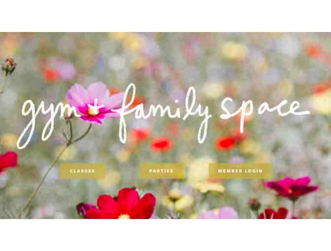 Wild Child Gym: 4 Week Membership!