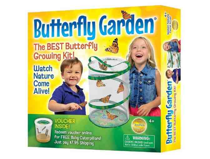 Science Gift Basket - From B8 Families