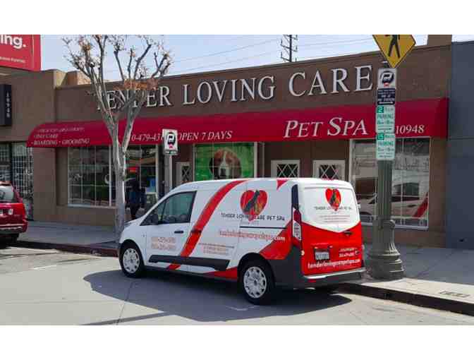 Tender Loving Care - Pet Grooming Services
