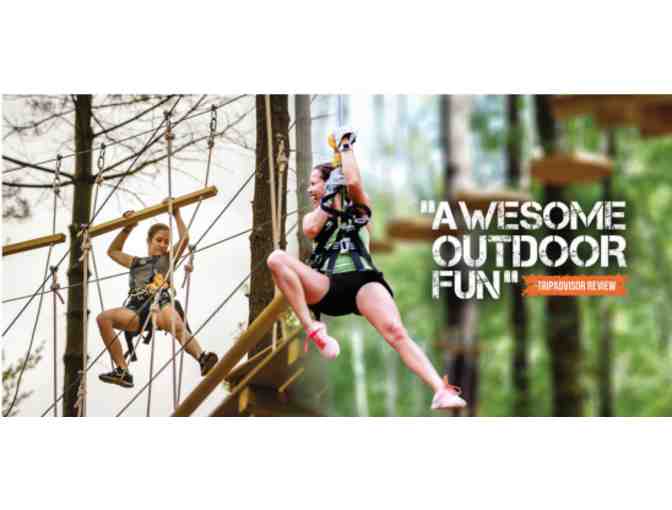 Family Culture and Nature