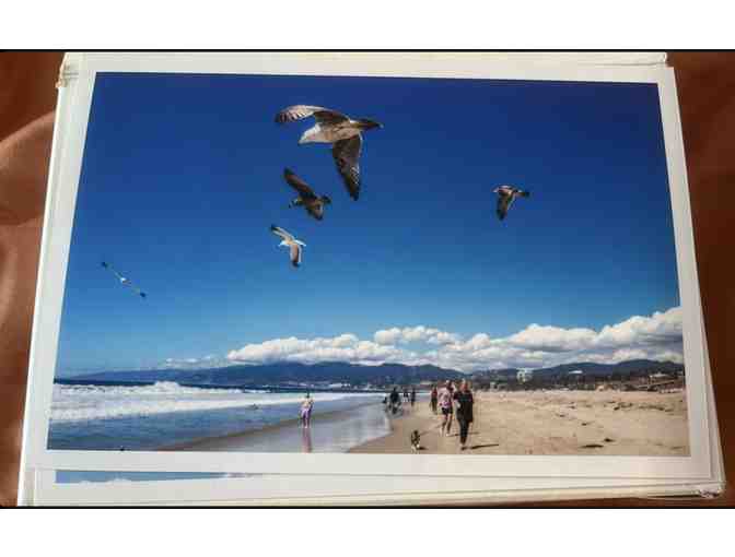 Three photos of soaring gulls at Santa Monica by Colleen Sturtevant - Photo 2