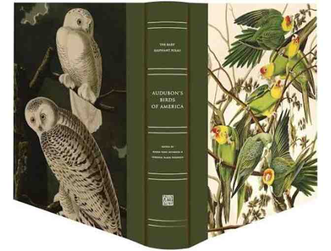 Audubon's Birds of America