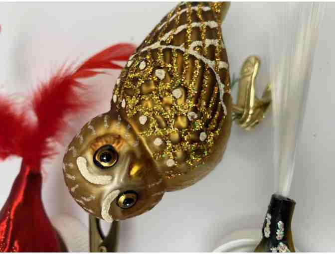 Holiday Bird ornaments - Set 9