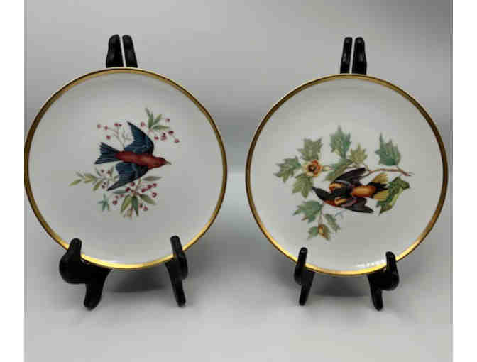 Set of 8 porcelain salad plates depicting Audubon bird drawings