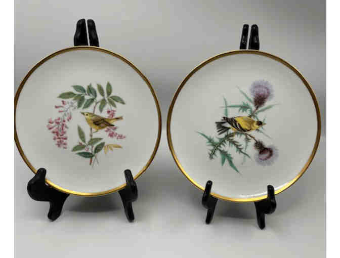 Set of 8 porcelain salad plates depicting Audubon bird drawings