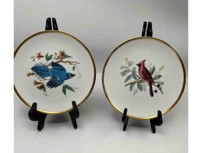Set of 8 porcelain salad plates depicting Audubon bird drawings