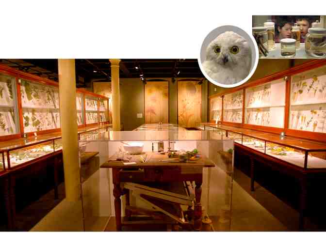 Harvard Museum of Natural History - Five (5) Admission Passes