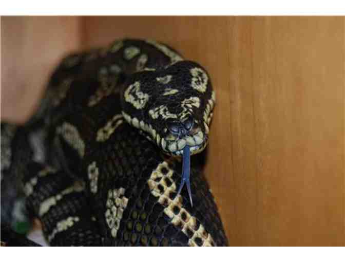 STAR ECO Station Culver City: Family Pass