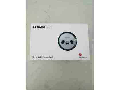 Level Bolt Lock