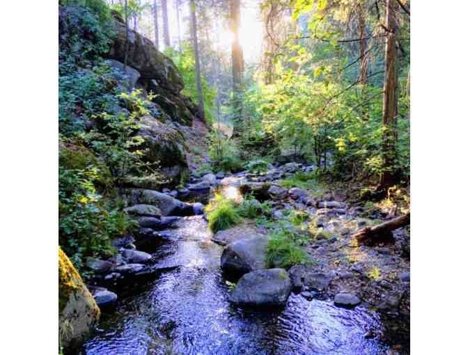 Three Night Stay at the 'Be Well' Cabin in the Sequoia National Forrest