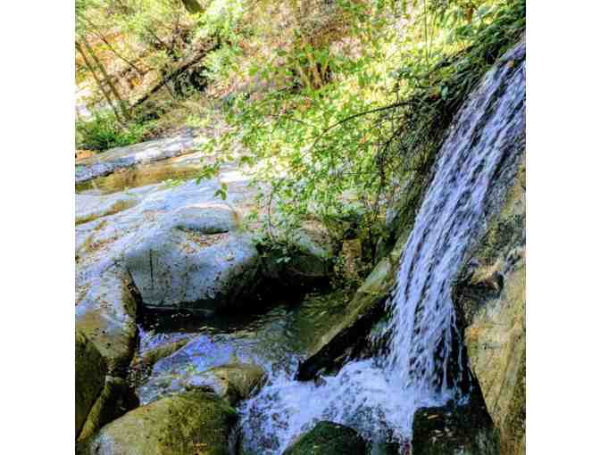 Three Night Stay at the 'Be Well' Cabin in the Sequoia National Forrest