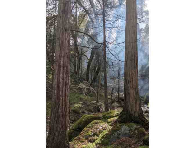 Three Night Stay at the 'Be Well' Cabin in the Sequoia National Forest