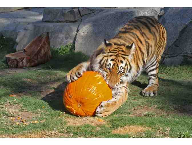 SIX FLAGS DISCOVERY KINGDOM