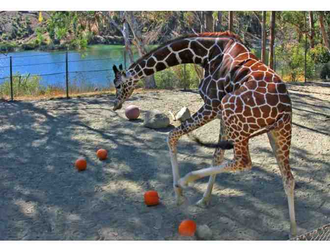 SIX FLAGS DISCOVERY KINGDOM
