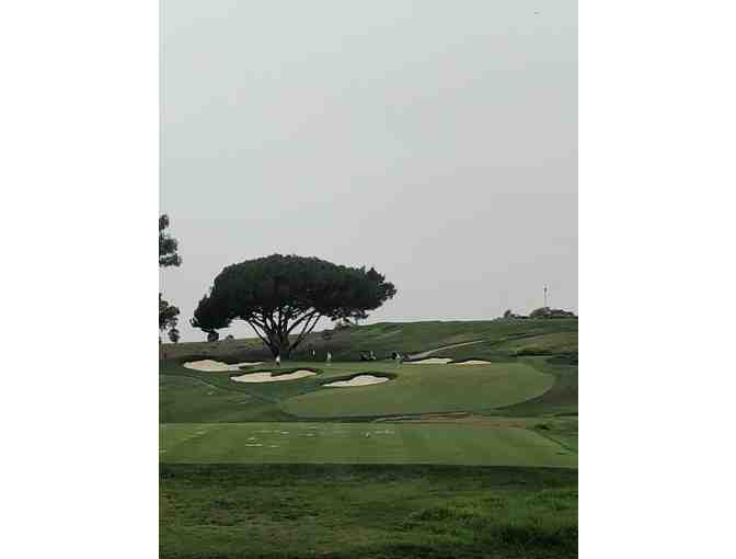THE SATICOY CLUB: ROUND OF GOLF FOR FOUR WITH CART