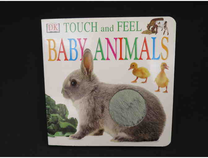 TOUCH AND FEEL BOOK COLLECTION