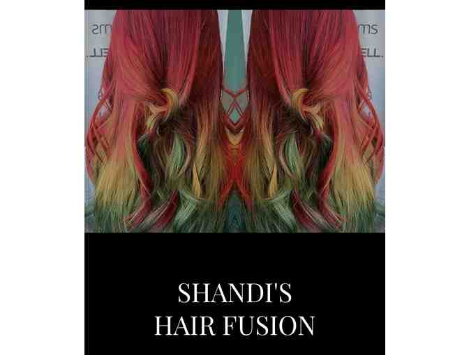 Shandi's Hair Fusion - Gift Certificate and Hair Products!