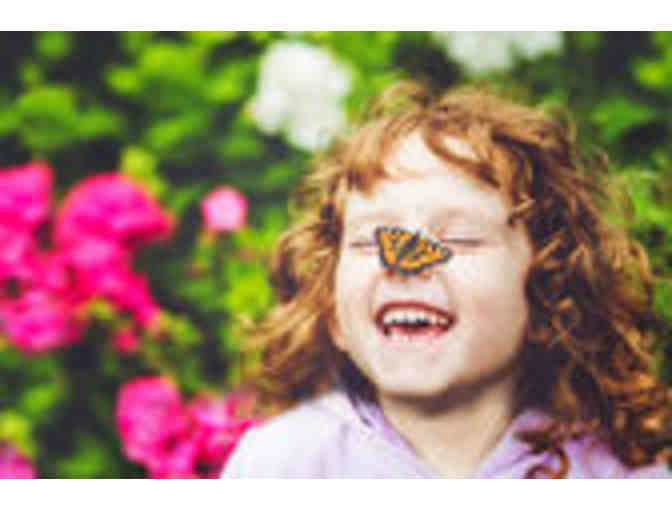 A Day at the Butterfly Place