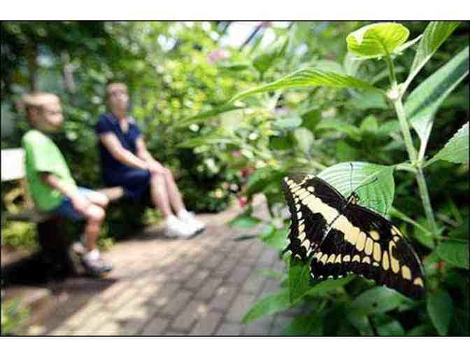 A Day at the Butterfly Place