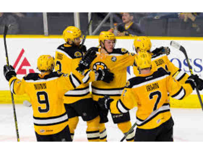 Providence Bruins - 4 Regular Season Flex Tickets