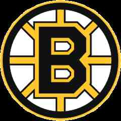 Boston Bruins