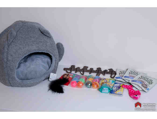 Meow! Meow! Cat Basket