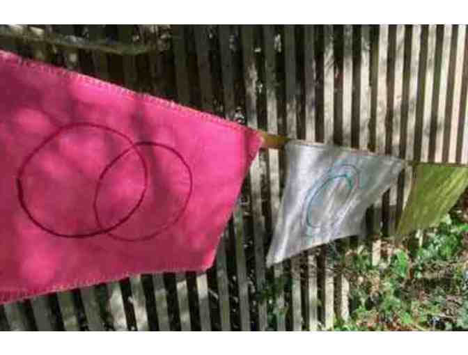 WSP Nine (9) Flag Banner #1