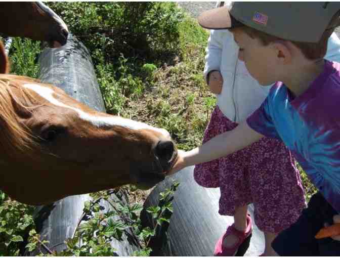 Bay Area Kid's Camp for ages 5-10