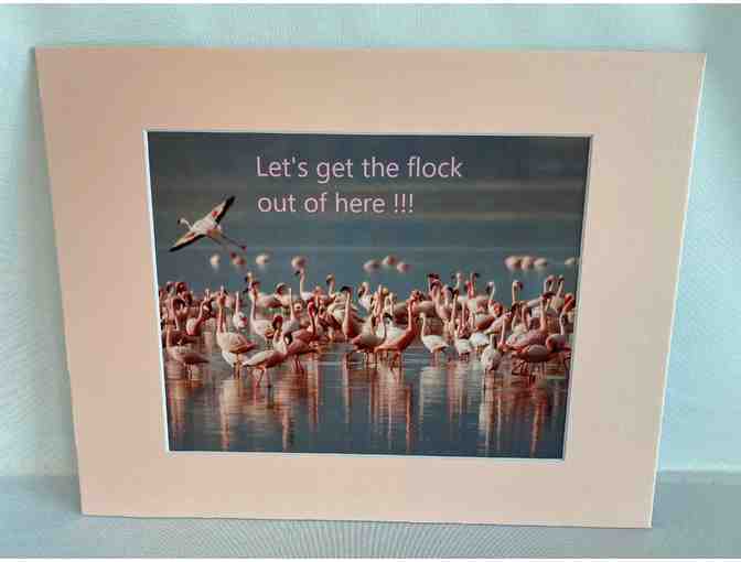 Photo Comment Pictures