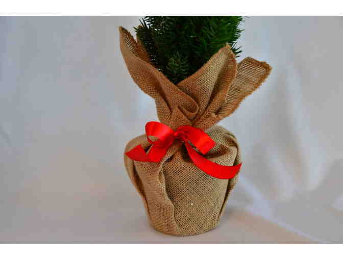 Miniature Christmas Tree