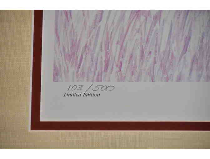 Fred Mills Framed Art