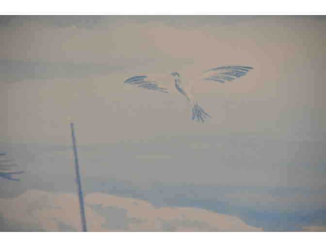 Fred Mills Framed Art