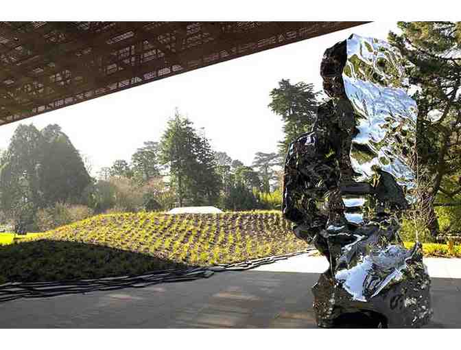 2 VIP Passes to de Young - Fine Arts Museum of San Francisco, CA