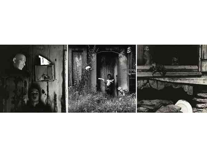 2 VIP Passes to de Young - Fine Arts Museum of San Francisco, CA