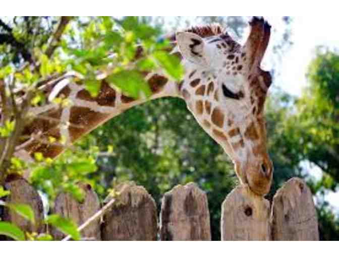 Four Admissions to the Sacramento Zoo- Sacramento, CA