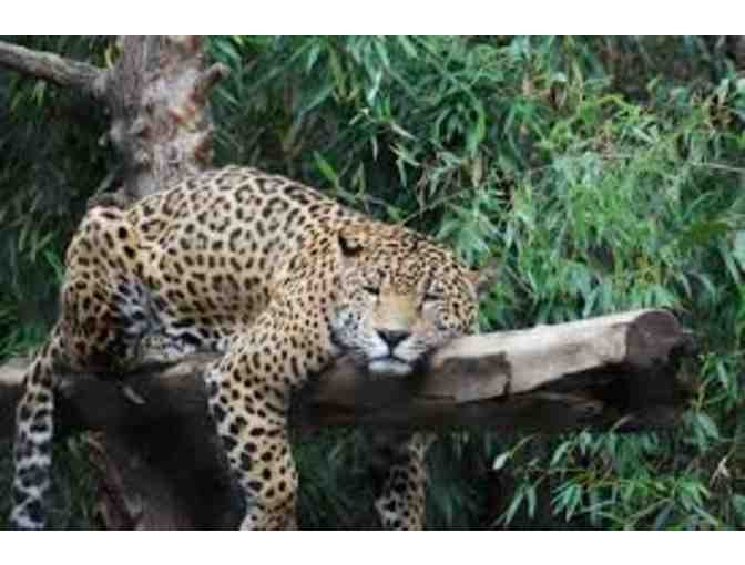 Four Admissions to the Sacramento Zoo- Sacramento, CA